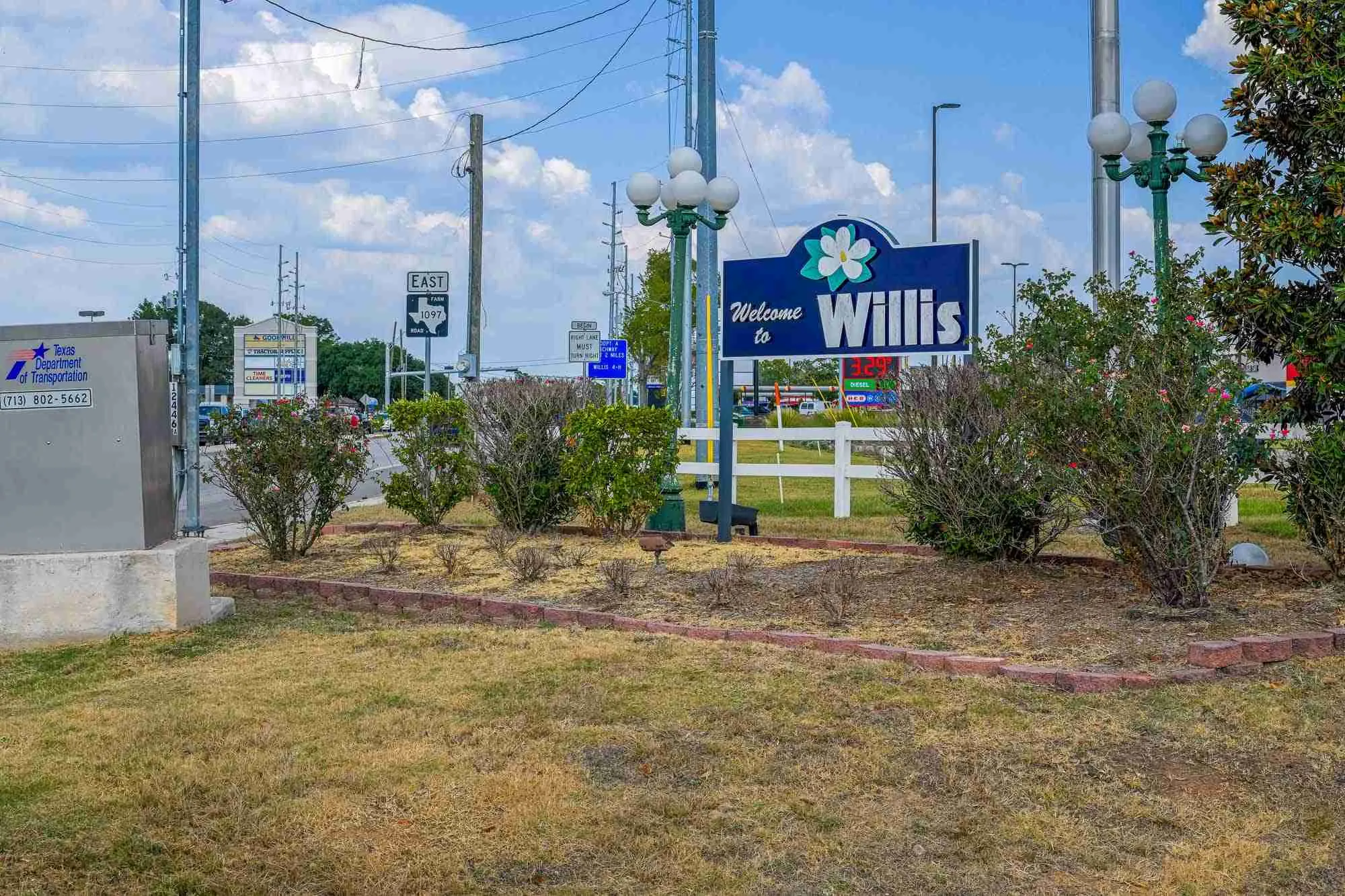 Willis